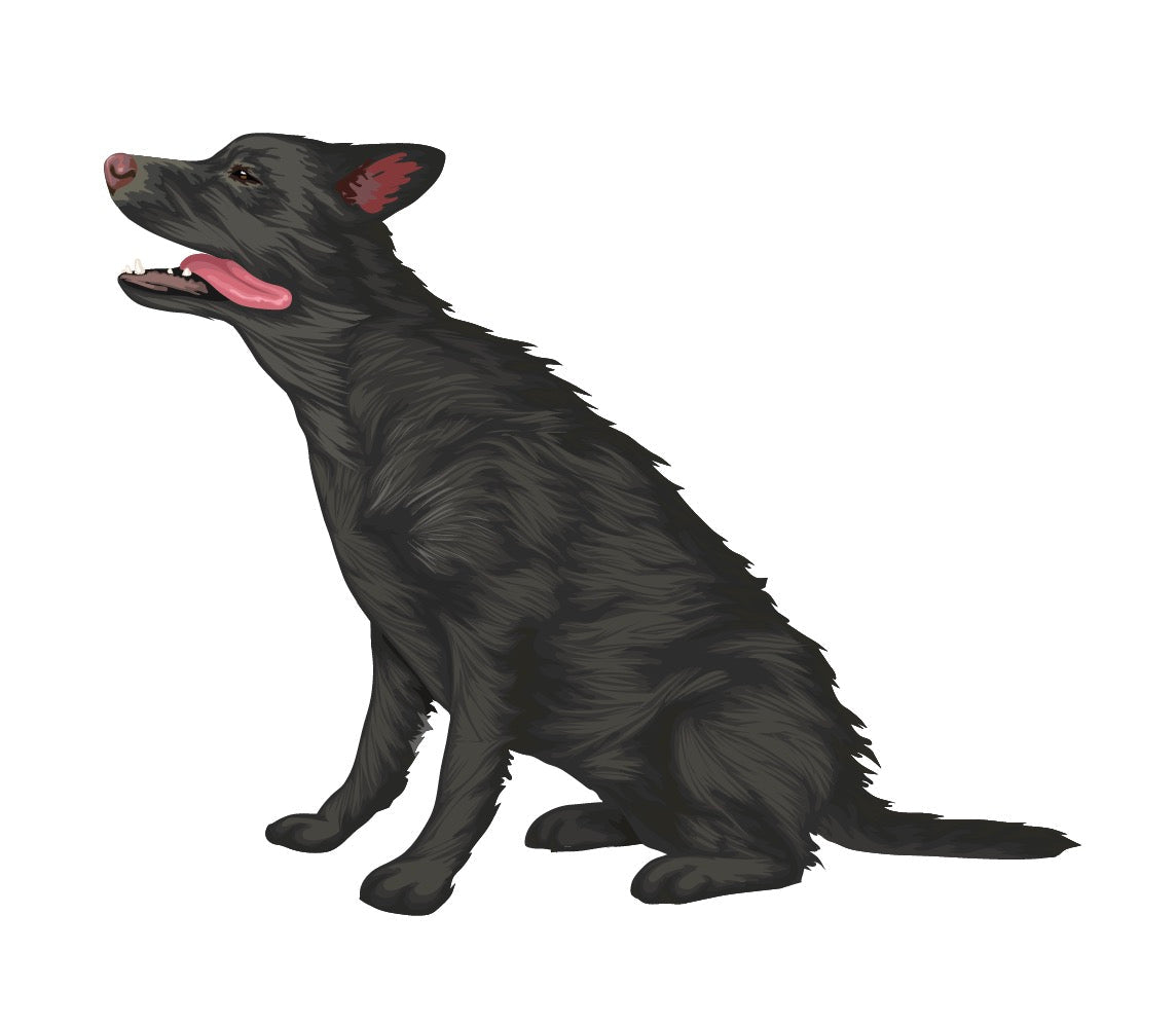 Labrador Retriever Decals - Cover-Alls Decals