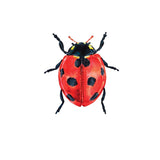 Ladybug Decals - Cover-Alls Decals