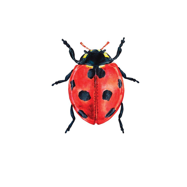 Ladybug Decals - Cover-Alls Decals