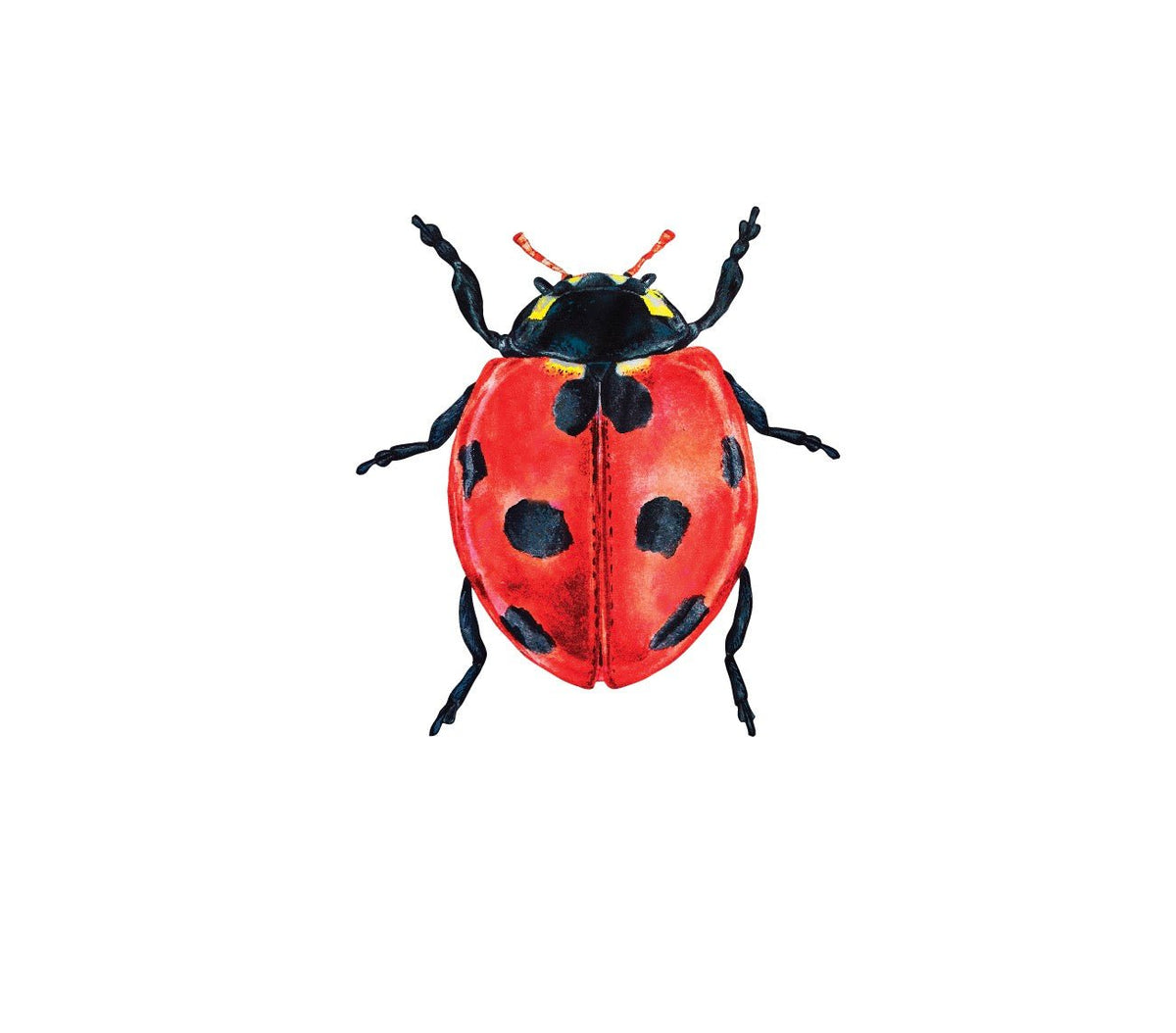 Ladybug Decals - Cover-Alls Decals