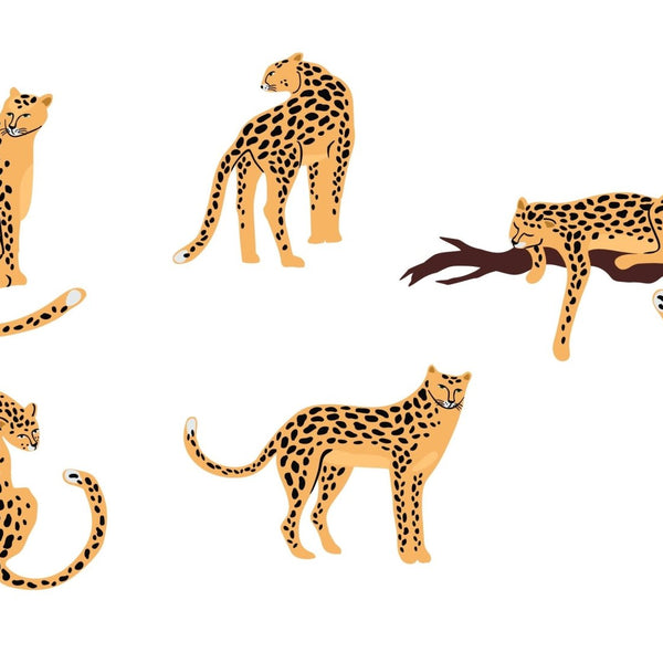 Leopards - Cover-Alls Decals