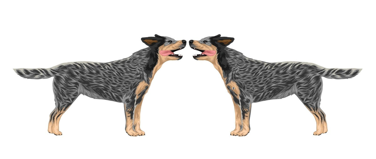 Life-Sized Australian Cattle Dog Decals - Cover-Alls Decals