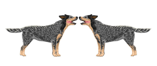 Life-Sized Australian Cattle Dog Decals - Cover-Alls Decals