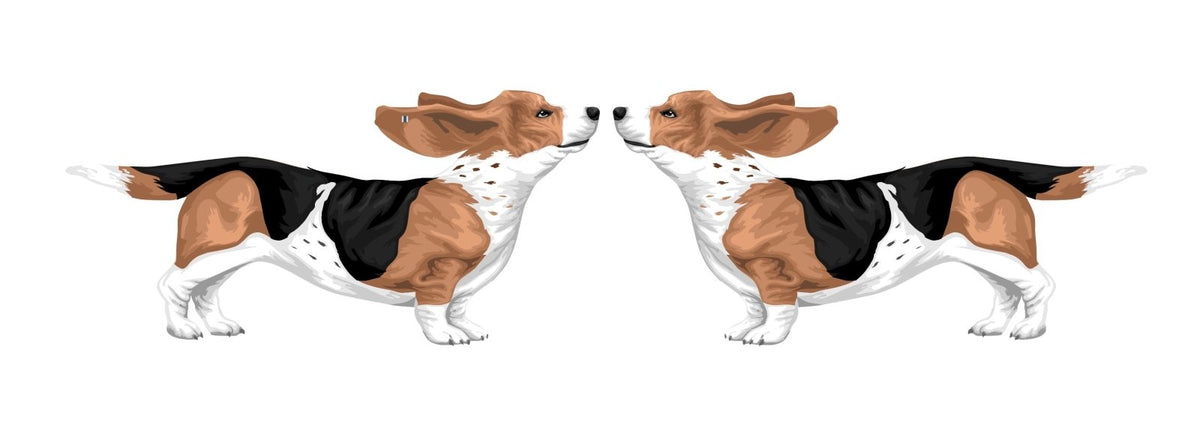 Life-Sized Bassett Hound Decals - Cover-Alls Decals
