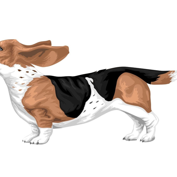 Life-Sized Bassett Hound Decals - Cover-Alls Decals