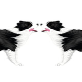 Life-Sized Border Collie Decal - Cover-Alls Decals