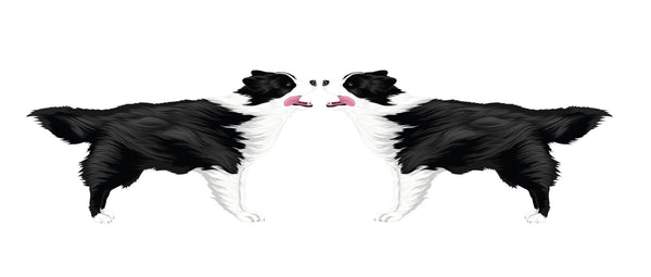 Life-Sized Border Collie Decal - Cover-Alls Decals