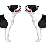 Life-Sized Boston Terrier Decal - Cover-Alls Decals