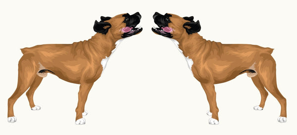 Life-Sized Boxer Decal - Cover-Alls Decals