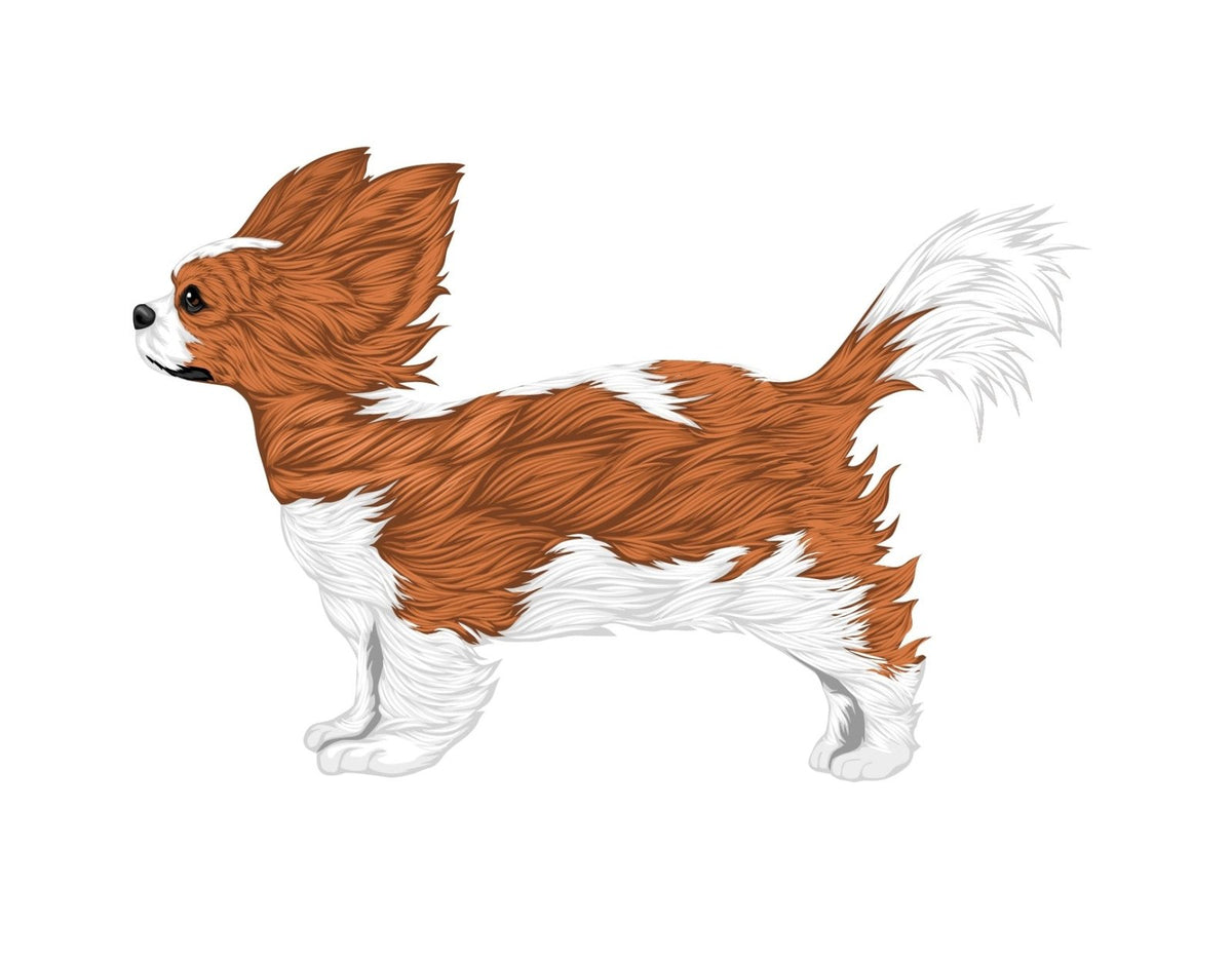 Life-Sized Cavalier King Charles Spaniel Decals - Cover-Alls Decals