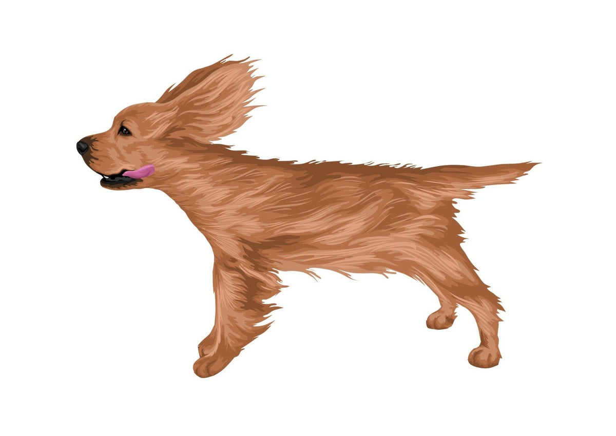 Life-Sized Cocker Spaniel Decal - Cover-Alls Decals