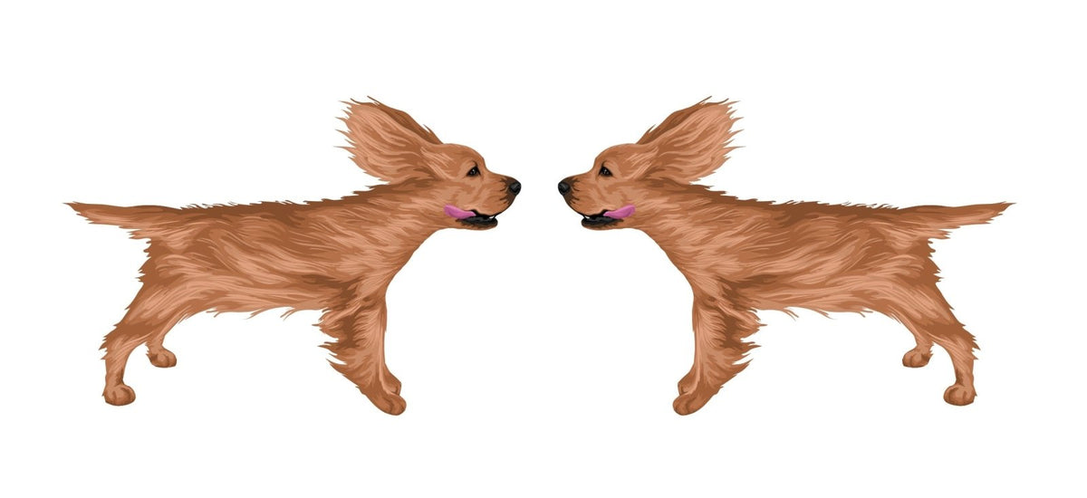 Life-Sized Cocker Spaniel Decal - Cover-Alls Decals