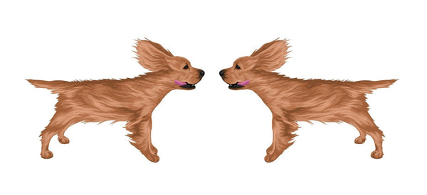 Life-Sized Cocker Spaniel Decal - Cover-Alls Decals