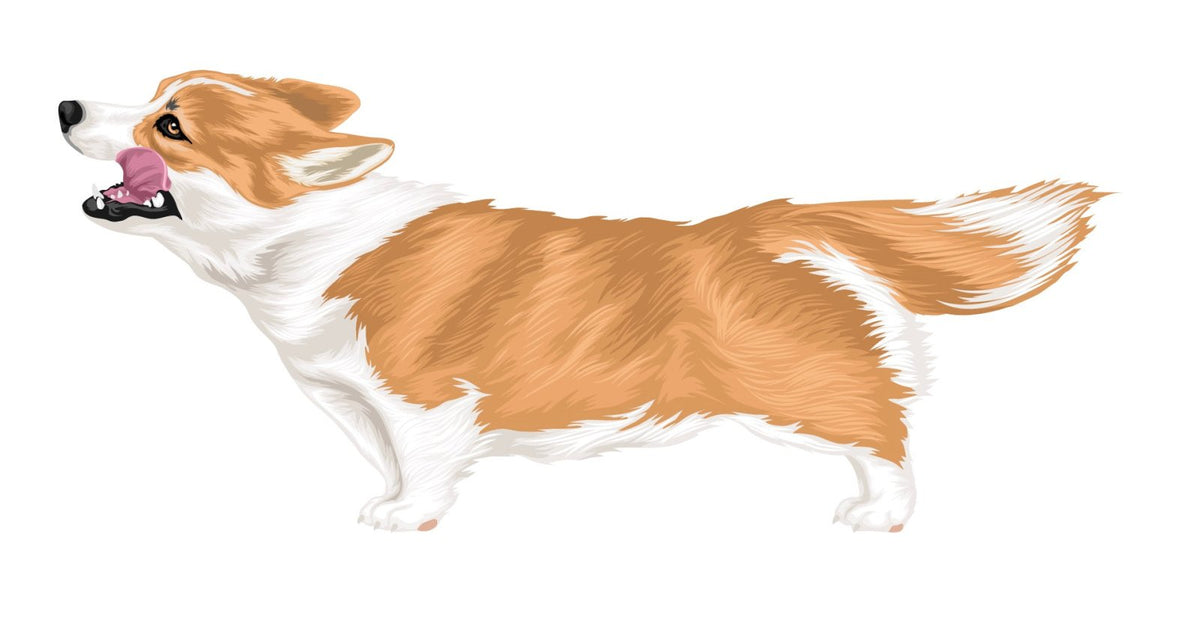 Life-Sized Corgi Decal - Cover-Alls Decals