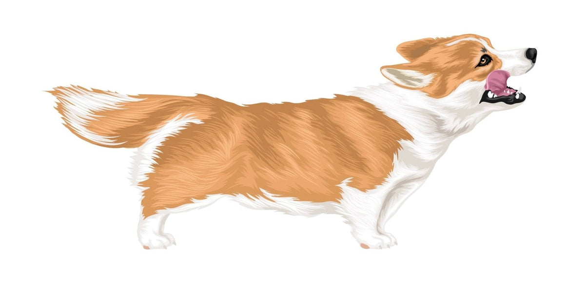 Life-Sized Corgi Decal - Cover-Alls Decals