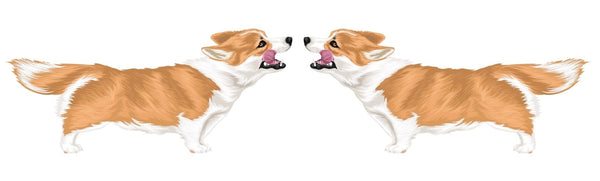Life-Sized Corgi Decal - Cover-Alls Decals