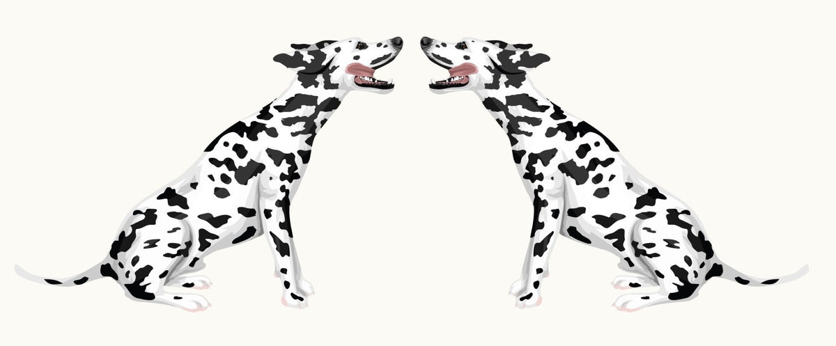 Dalmatian Decals - Cover-Alls Decals
