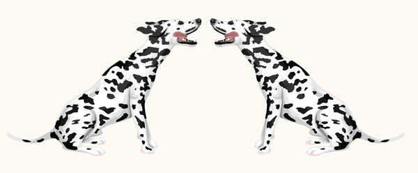 Dalmatian Decals - Cover-Alls Decals