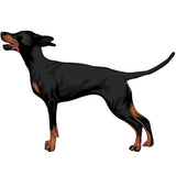 Life-Sized Doberman Pinscher Decals - Cover-Alls Decals