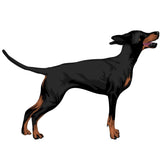 Life-Sized Doberman Pinscher Decals - Cover-Alls Decals