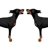 Life-Sized Doberman Pinscher Decals - Cover-Alls Decals