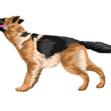 German Shepherd Decals - Cover-Alls Decals