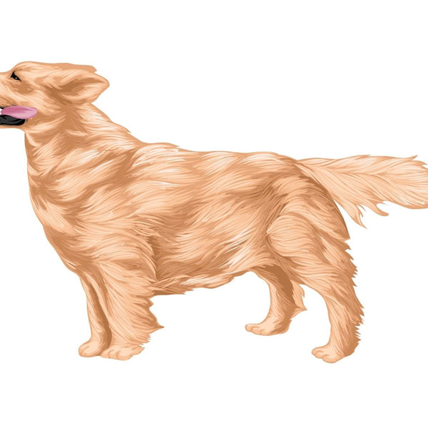Life-Sized Golden Retriever Decal - Cover-Alls Decals