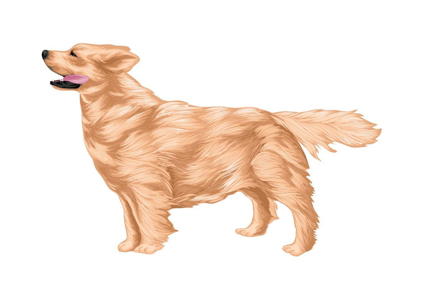 Life-Sized Golden Retriever Decal - Cover-Alls Decals