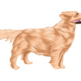 Life-Sized Golden Retriever Decal - Cover-Alls Decals