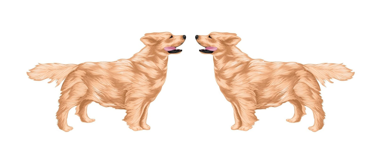 Life-Sized Golden Retriever Decal - Cover-Alls Decals
