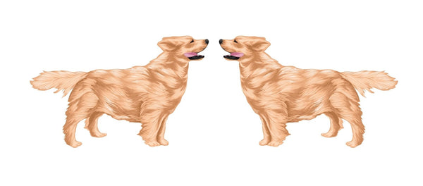 Life-Sized Golden Retriever Decal - Cover-Alls Decals