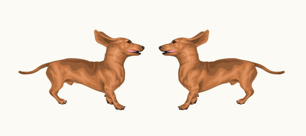 Life-Sized Miniature Dachshund Decal - Cover-Alls Decals