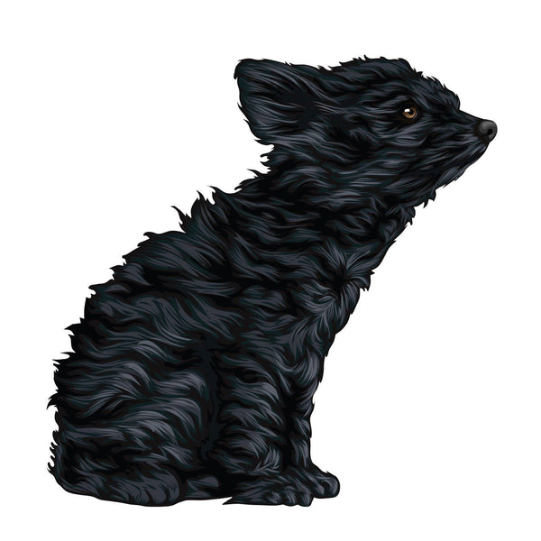 Life-Sized Miniature Poodle Decal - Cover-Alls Decals