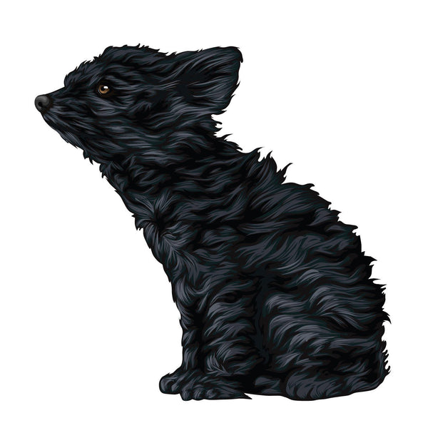 Life-Sized Miniature Poodle Decal - Cover-Alls Decals