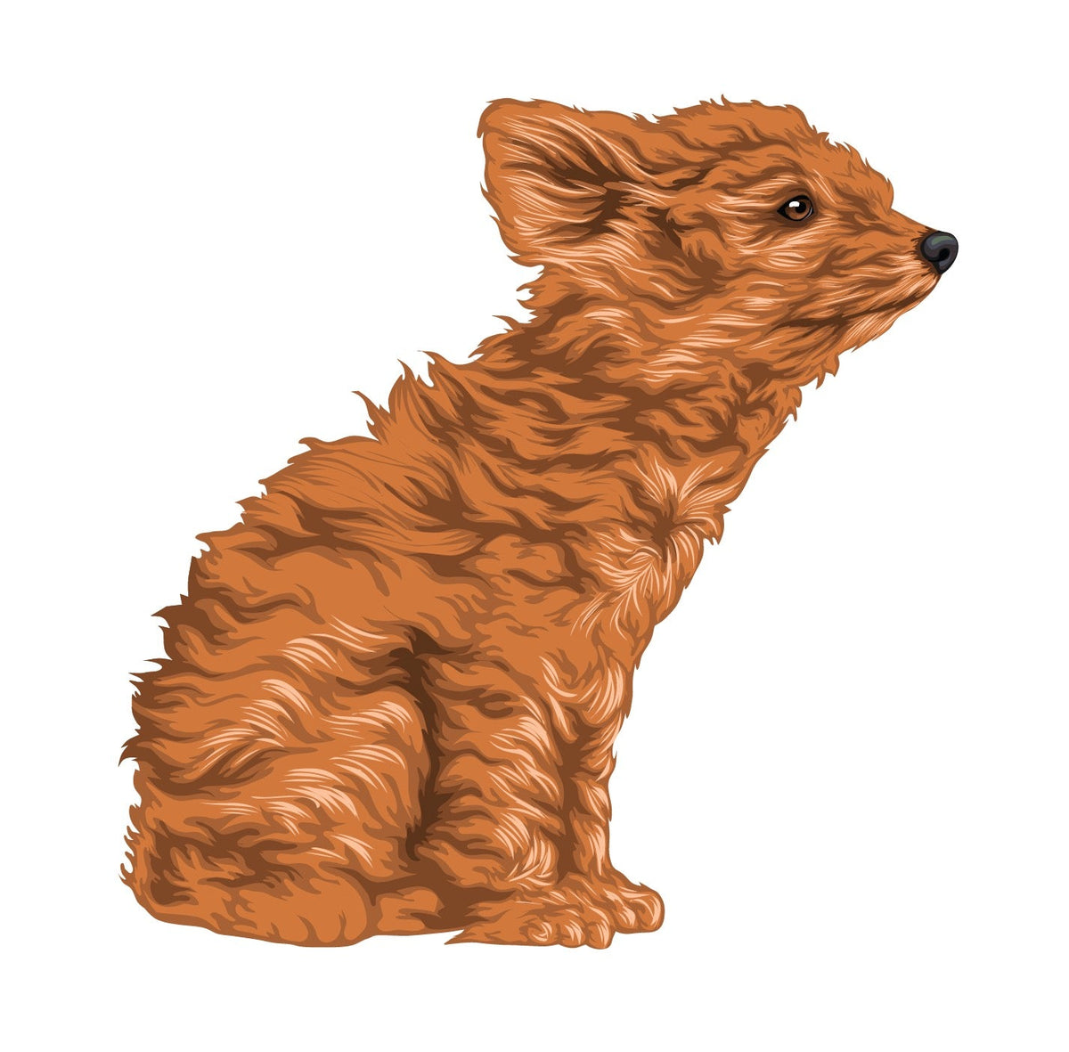 Life-Sized Miniature Poodle Decal - Cover-Alls Decals