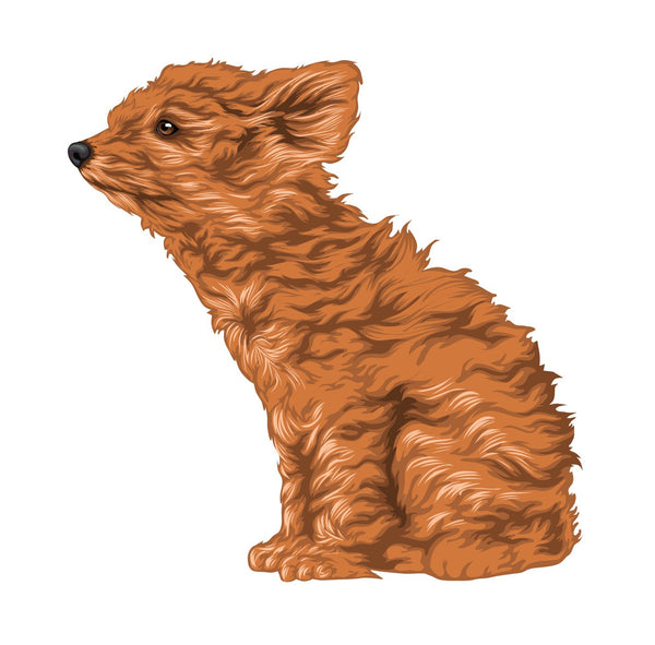 Life-Sized Miniature Poodle Decal - Cover-Alls Decals