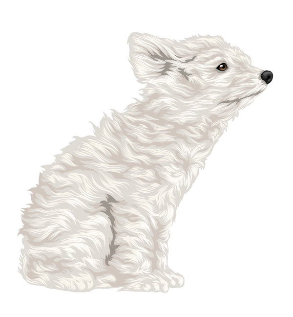 Life-Sized Miniature Poodle Decal - Cover-Alls Decals
