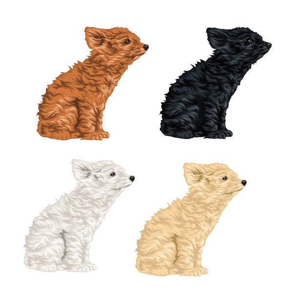 Life-Sized Miniature Poodle Decal - Cover-Alls Decals