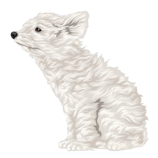 Life-Sized Miniature Poodle Decal - Cover-Alls Decals