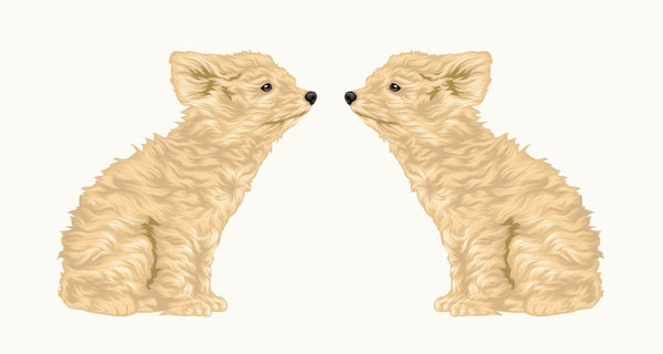 Life-Sized Miniature Poodle Decal - Cover-Alls Decals