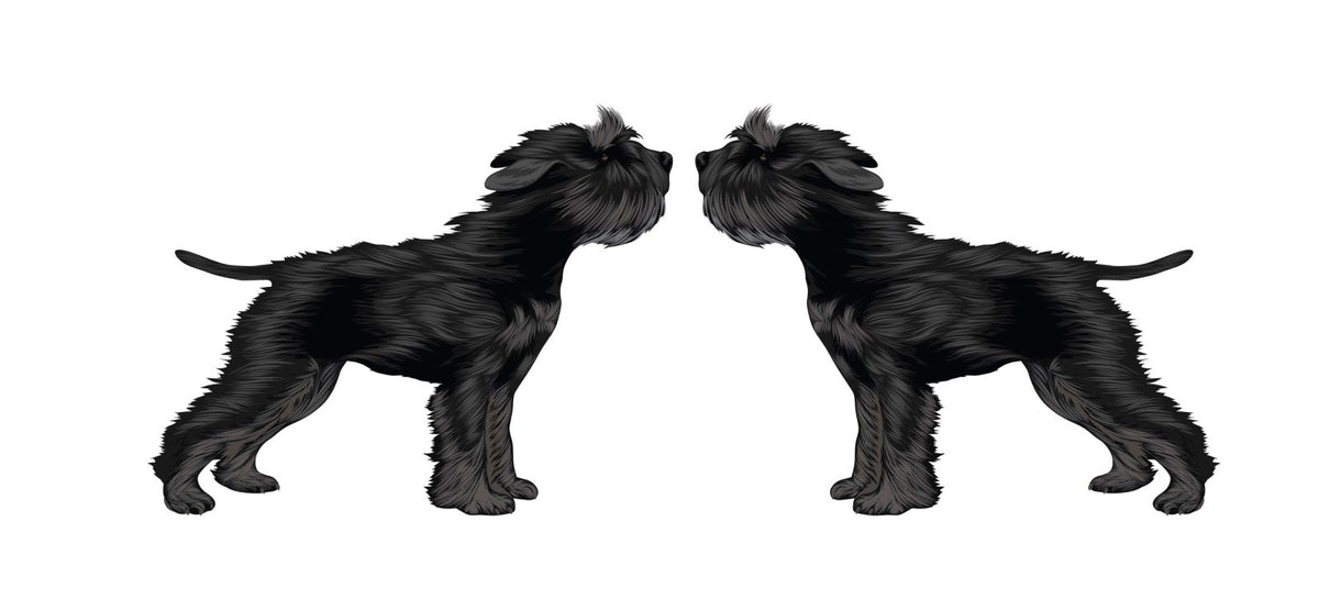 Life-Sized Miniature Schnauzer Decal - Cover-Alls Decals