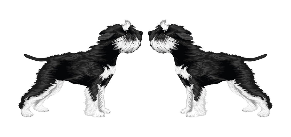 Life-Sized Miniature Schnauzer Decal - Cover-Alls Decals