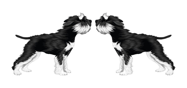 Life-Sized Miniature Schnauzer Decal - Cover-Alls Decals