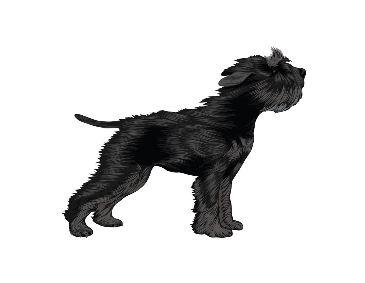 Life-Sized Miniature Schnauzer Decal - Cover-Alls Decals