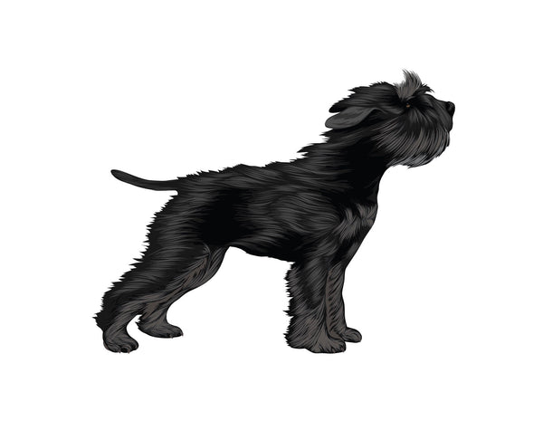 Life-Sized Miniature Schnauzer Decal - Cover-Alls Decals