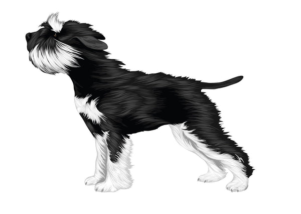 Life-Sized Miniature Schnauzer Decal - Cover-Alls Decals