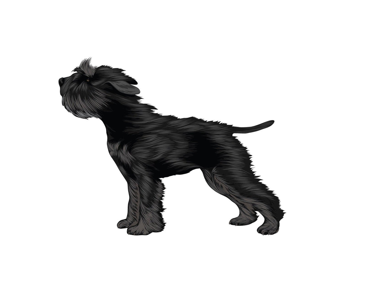 Life-Sized Miniature Schnauzer Decal - Cover-Alls Decals