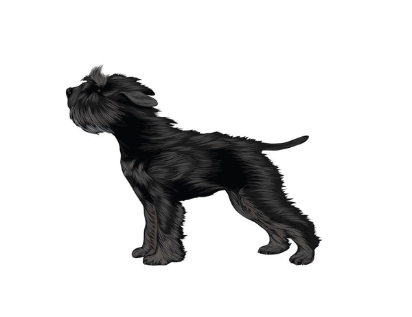 Life-Sized Miniature Schnauzer Decal - Cover-Alls Decals