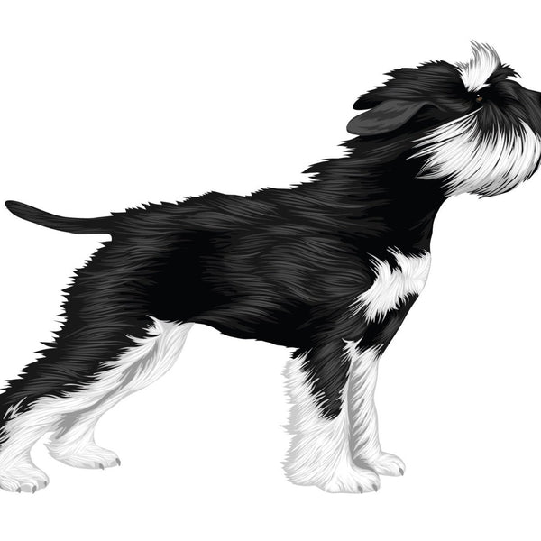 Life-Sized Miniature Schnauzer Decal - Cover-Alls Decals