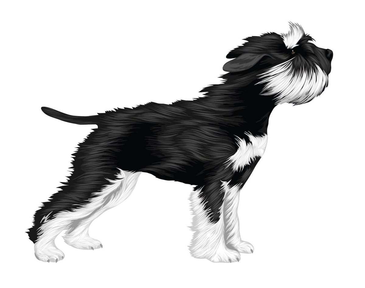 Life-Sized Miniature Schnauzer Decal - Cover-Alls Decals